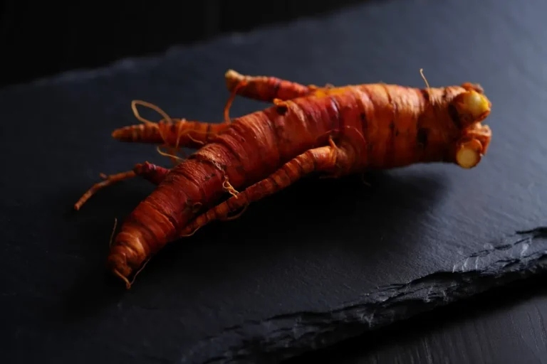 racine rouge de ginseng rouge